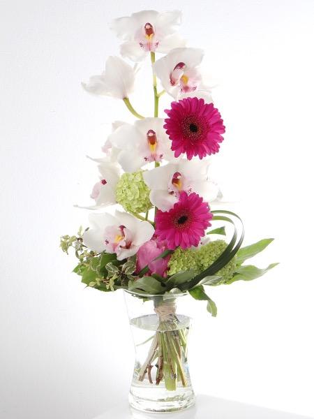 Onnitteluun, ennenkaikkea